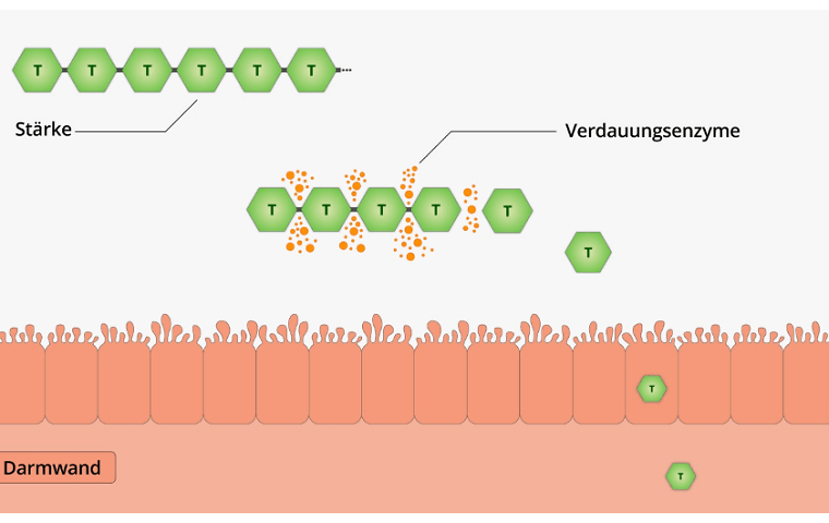 VerdauungStärke